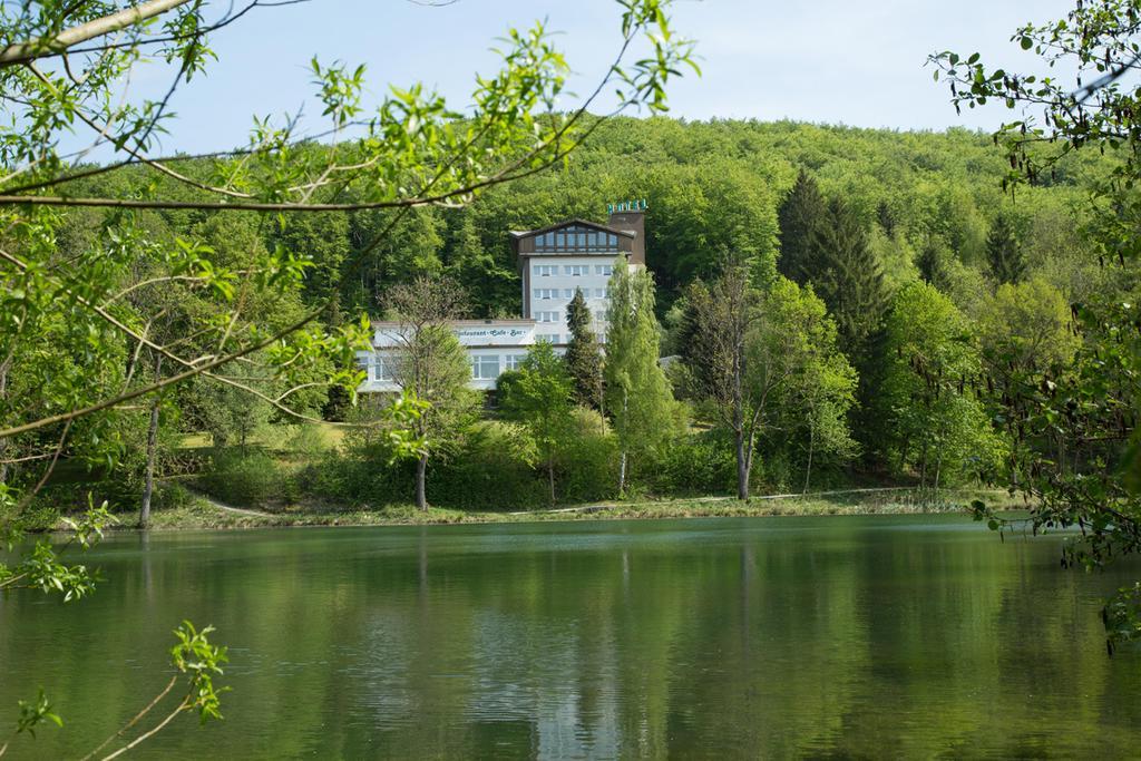 Hotel Reifenstein Kleinbartloff Exteriör bild